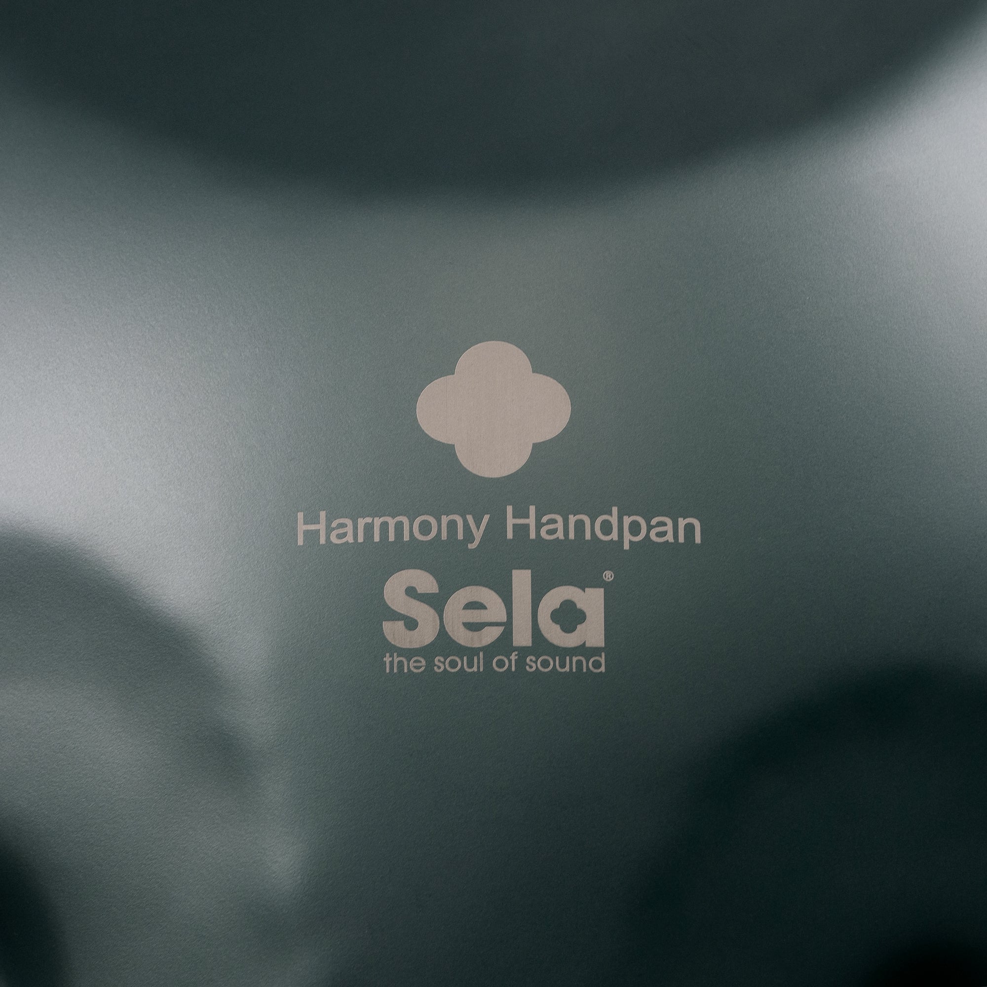 Sela Harmony Handpan D Sabye SE 214