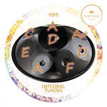 Lade das Bild in den Galerie-Viewer, MEINL Sonic Energy Harmonic Art Handpan Integral - Stimmung: D/A/A#/C/D/E/F/A (HD5)
