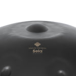 Lade das Bild in den Galerie-Viewer, Sela Melody Handpan D Kurd SE 220
